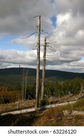 Mount Großer Feldberg In The German Taunus Mountains Near Frankfurt