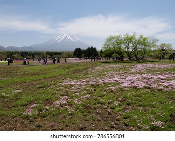 mount of Fuji