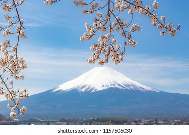 Mount Fuji Cherry Blossom Kawaguchiko Lake Stock Photo 1157506030 ...