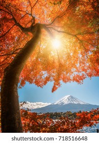 Mount Fuji, Japan From Lake Kawaguchiko In Autumn.