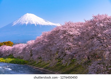 10,499 Fuji river Images, Stock Photos & Vectors | Shutterstock