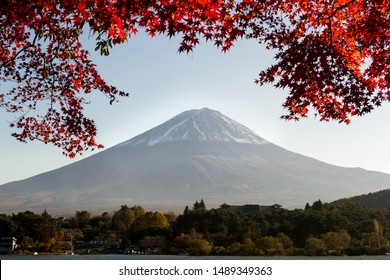Mount Fuji with Red Foliage