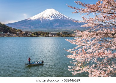 Mount Fuji And Sakura Cherry Blossom In Japan Spring Season