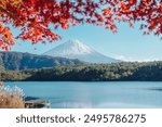 Mount Fuji view at Lake Saiko in Autumn season. Mt Fujisan in Fujikawaguchiko, Yamanashi, Japan. Landmark for tourists attraction. Japan Travel, Destination, Vacation and Mount Fuji Day concept