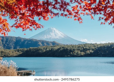 Mount Fuji view at Lake Saiko in Autumn season. Mt Fujisan in Fujikawaguchiko, Yamanashi, Japan. Landmark for tourists attraction. Japan Travel, Destination, Vacation and Mount Fuji Day concept - Powered by Shutterstock