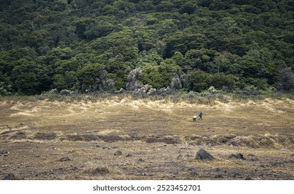 Mount Gede Pangrango, Bogor, Indonesia - September 14, 2024: Two hikers captured on camera while walking along the Surya Kencana meadow of Mount Gede Pangrango. - Powered by Shutterstock