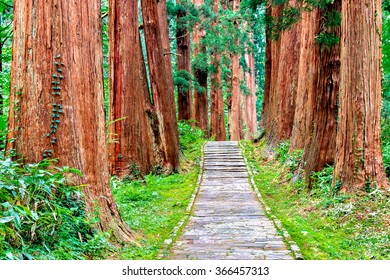 Mount Haguro In Yamagata Prefecture 