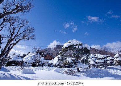 Mount Hakodate Of Winter