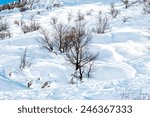 mount Hermon in the snow