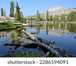 Mount Hoffman (10,855