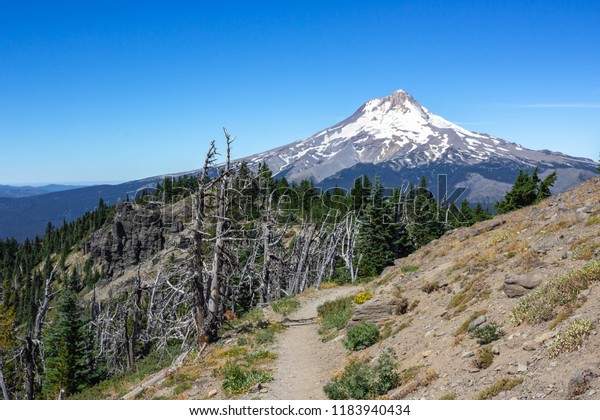 Mount Hood from the Divide Trail in the Badger\
Creek Wilderness