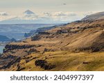 The Mount Hood National Forest in Oregon