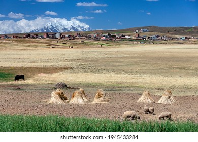 Mount Illimani (6100m) And Village (3800m) On The Altiplano Near La Paz In Bolivia, South America.