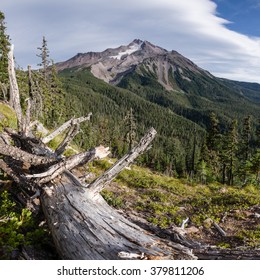 Mount Jefferson. Mt Jefferson Wilderness Area, Oregon.