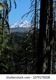 Mount Jefferson Oregon