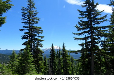 Mount Jefferson Wilderness Area Oregon America Us