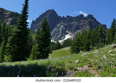 Mount Jefferson Wilderness, Central Oregon