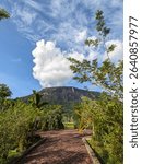 Mount Kelam, a granite monolith in West Borneo, Indonesia, rises 1,002 meters above sea level and covers 520 hectares. Photo taken on June 13, 2025, at 09:36 AM.