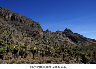 Mount Kenya