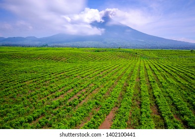 Mount Kerinci is the highest mountain in Sumatra, the highest volcano in Indonesia, and the highest peak in Indonesia outside Papua. Mount Kerinci is located in Jambi Province,  - Shutterstock ID 1402100441
