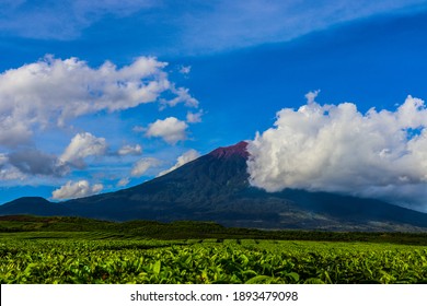 Mount Kerinci is the highest mountain in Sumatra and the highest volcano in Indonesia with an altitude of 3805 masl in the Kerinci Seblat National Park area. Kayu Aro, Kerinci, Jambi, Indonesia, Asia. - Shutterstock ID 1893479098
