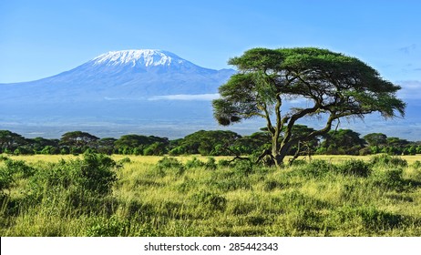 Mount Kilimanjaro in Kenya Amboseli National Park