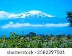 Mount Kilimanjaro seen from Moshi, Tanzania, Africa