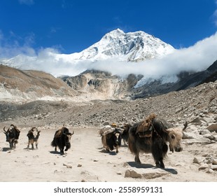 Mount Makalu and glacial lake near Mt Makalu base camp with beautiful clouds on sky, Barun valley, Nepal Himalayas mountains
