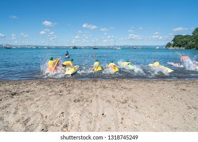 MOUNT MAUNGANUI NEW ZEALAND - FEBRUARY 10: Children Rushing In Paddle Boards Developing Water Confidence And Skills By Mount Maunganui Surf Lifesaving Club February 10 2019 Mount Maunganui New Zealand