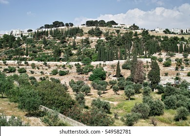 Mount Of Olives, Jerusalem