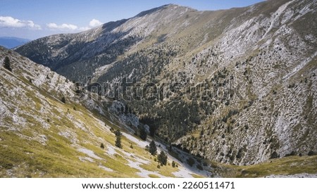 Mount Olympus Greece peak forest tree  E4