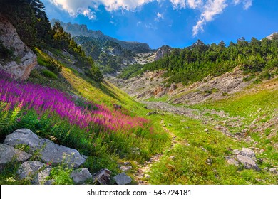 Mount Olympus, Pieria, Greece