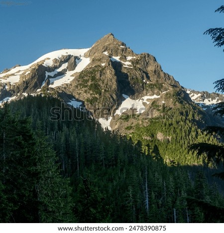 Mount Olympus Rises Into Clear Blue Sky in Olympic National Park