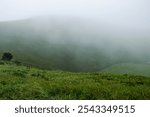 Mount Omuro, Izu tobu, Ito, Shizuika in Japan of mountain view in a foggy day with the green trees grass field with small houses and small trees