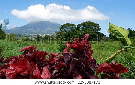Mount Pel e volcano on the island of Martinique - France