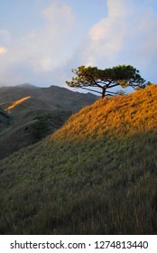 Mount Pulag Philippines