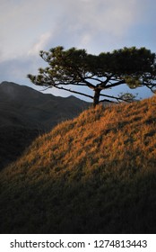 Mount Pulag Philippines