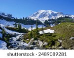 Mount Rainier National Park mountain and stream