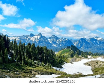 Mount Rainier
Ruby Beach 
PNW
PNW Beaches
Rocky beach
Skyline Loop 
Tree of Life
