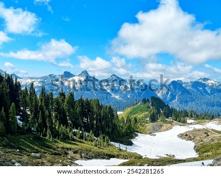 Mount Rainier
Ruby Beach 
PNW
PNW Beaches
Rocky beach
Skyline Loop 
Tree of Life