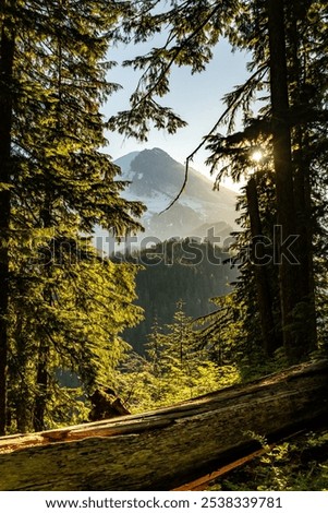 Similar – Image, Stock Photo In the Adersbach-Weckelsdorf Rock Town