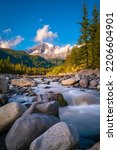 Mount Rainier, spruce forest, glacial rocks, and the Nisqually River in Mt Rainier National Park in Washington State. Majestic tranquil autumn landscape of the Cascade Mountains in North America. 