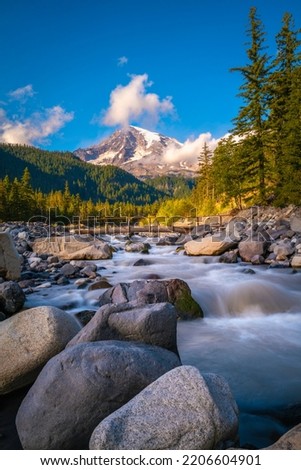 Mount Rainier, spruce forest, glacial rocks, and the Nisqually River in Mt Rainier National Park in Washington State. Majestic tranquil autumn landscape of the Cascade Mountains in North America. 