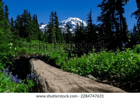 Mount Rainier with Wonderland Trail and a log for trail