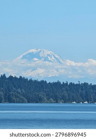 Mount Ranier in the forrest