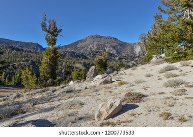 Mount Rose Peak View From Tahoe Rim Trail 
Reno, Nevada