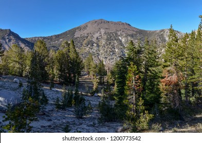 Mount Rose View From Tahoe Rim Trail 
Reno, Nevada