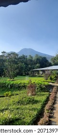 Mount Salak View In The Morning