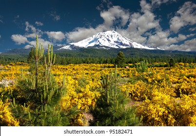 Mount Shasta