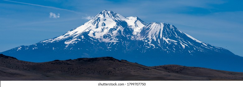 are dogs allowed in mount shasta